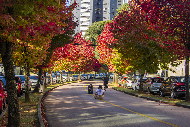 Curitiba registra aumento de 15% no turismo durante a temporada de verão