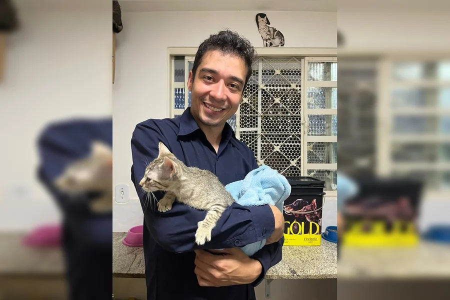 Justiça condena psicólogo a 9 anos de prisão pela morte de 17 gatos no DF