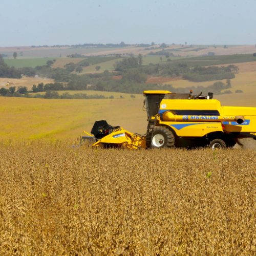 Safra 2026: Paraná projeta colheita histórica de 25,9 milhões de toneladas de grãos de verão
