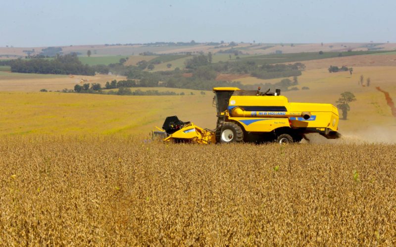 Safra 2026: Paraná projeta colheita histórica de 25,9 milhões de toneladas de grãos de verão