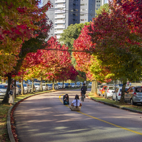 Curitiba registra aumento de 15% no turismo durante a temporada de verão