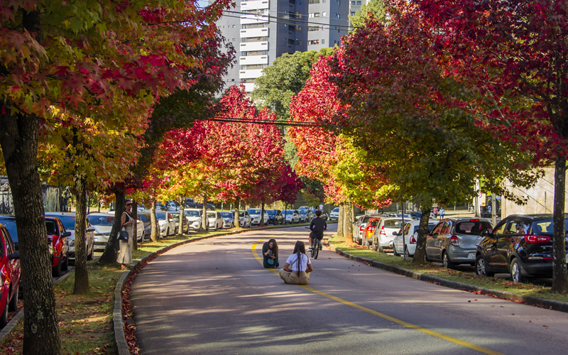 Curitiba registra aumento de 15% no turismo durante a temporada de verão