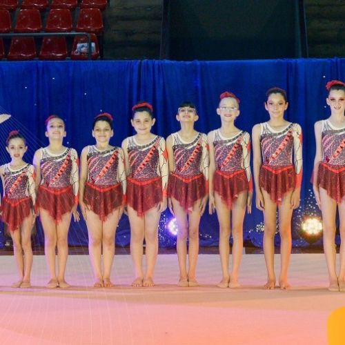 Além do pódio: Instituto de Curitiba democratiza a ginástica e prioriza o suporte psicológico no desenvolvimento de jovens atletas
