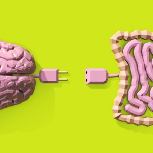 Segundo Cérebro: Neurocientista explica como a saúde do intestino define o humor, o sono e a energia diáriaAzia, estufamento e cansaço após as 15h não são “má sorte”, mas sinais de alerta.