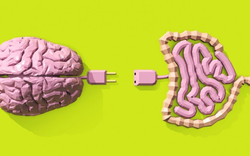 Segundo Cérebro: Neurocientista explica como a saúde do intestino define o humor, o sono e a energia diáriaAzia, estufamento e cansaço após as 15h não são “má sorte”, mas sinais de alerta.