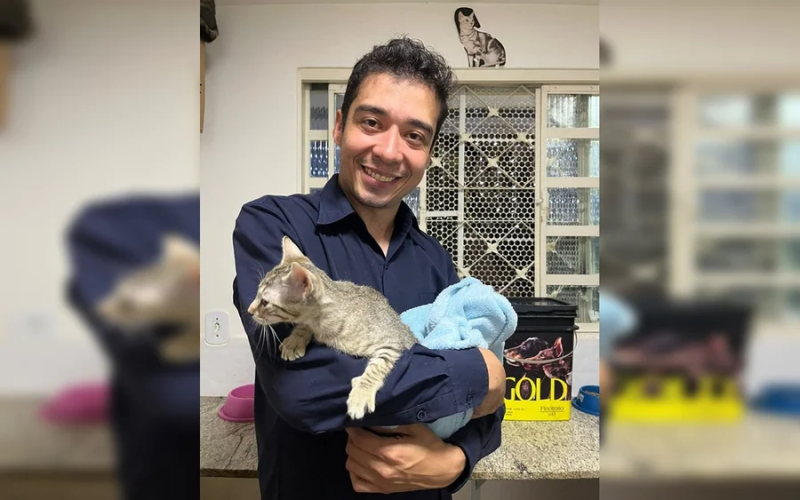Justiça condena psicólogo a 9 anos de prisão pela morte de 17 gatos no DF