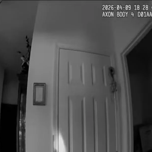 Idosa “desaparecida” é encontrada em casa enquanto jogava videogame