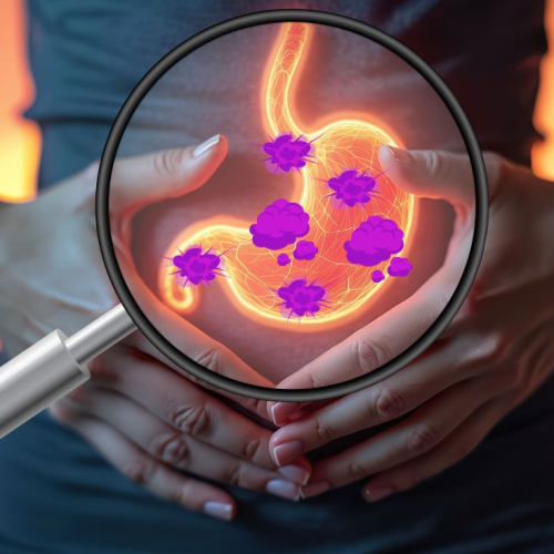 A Relação entre a Inflamação de Baixo Grau e o Envelhecimento Sistêmico