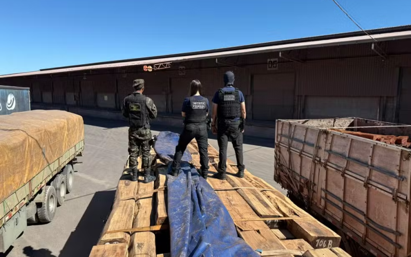 Cocaína em madeira: operação na fronteira faz a maior apreensão do país, segundo estimativa da Receita