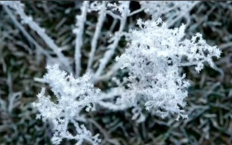 Caçadores de geada enfrentam frio extremo para registrar paisagens congeladas na Serra Catarinense