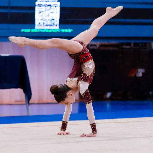 Transformação social e alta performance: Instituto Get Flex evolui para Instituto Flow do Esporte e destaca atuação na Ginástica Rítmica