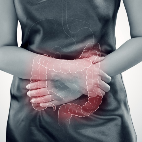 Barriga inchada, cansaço e imunidade baixa: neurocientista alerta para os perigos da disbiose e ensina como regular o intestino em workshop gratuito
