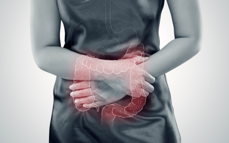 Barriga inchada, cansaço e imunidade baixa: neurocientista alerta para os perigos da disbiose e ensina como regular o intestino em workshop gratuito